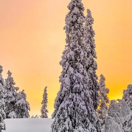 Alte By Interhome 鲁卡