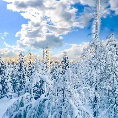 Nyaraló Alte By Interhome *